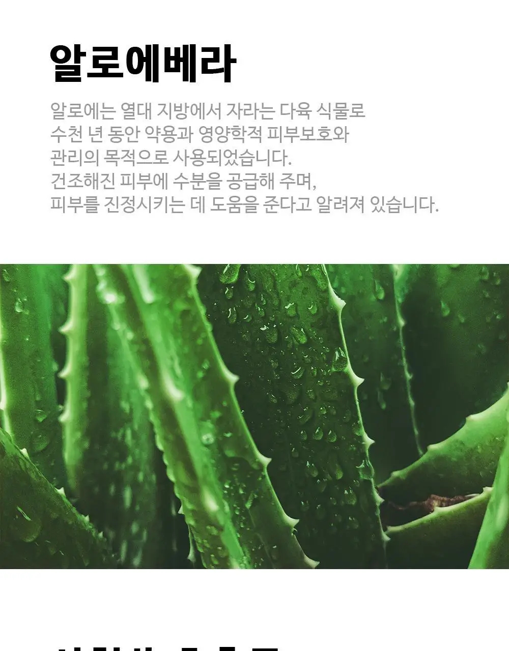 [폼타입/저자극]닥터올가 허브 페미닌 시크릿 클렌저 여성 청결제 150ml 상세페이지 6